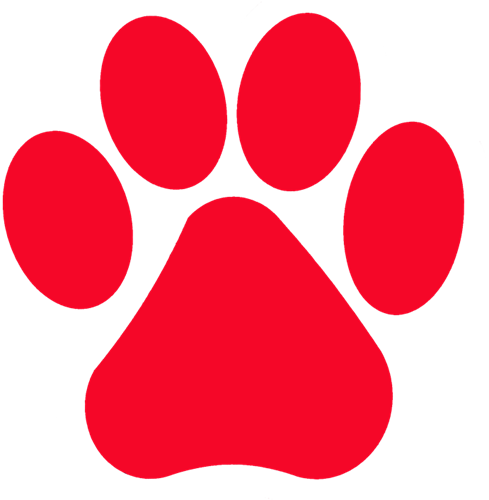 paw